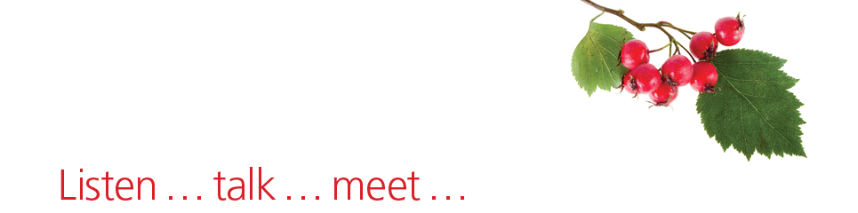 Listen talk meet
